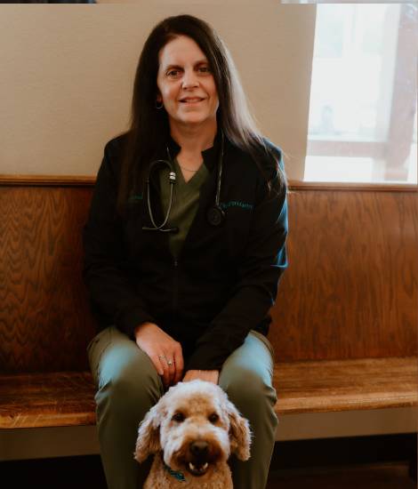 staff sitting with a pet