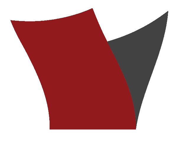 Varidi logo